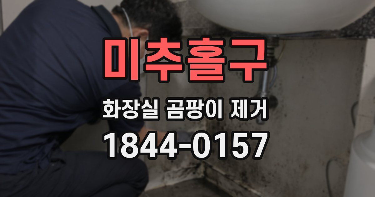 미추홀구 화장실 곰팡이 제거