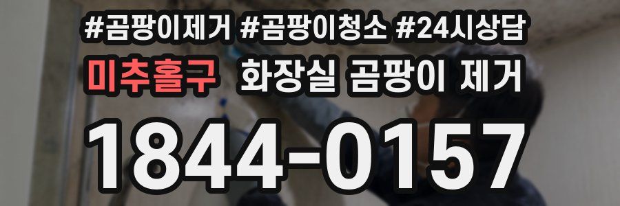 미추홀구 화장실 곰팡이 제거