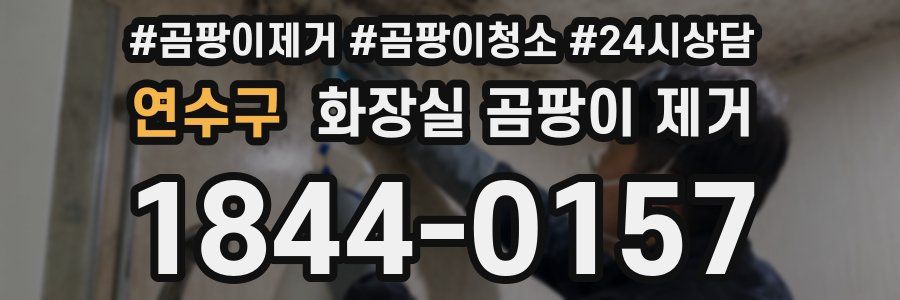 연수구 화장실 곰팡이 제거