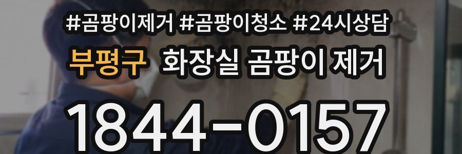 부평구 화장실 곰팡이 제거