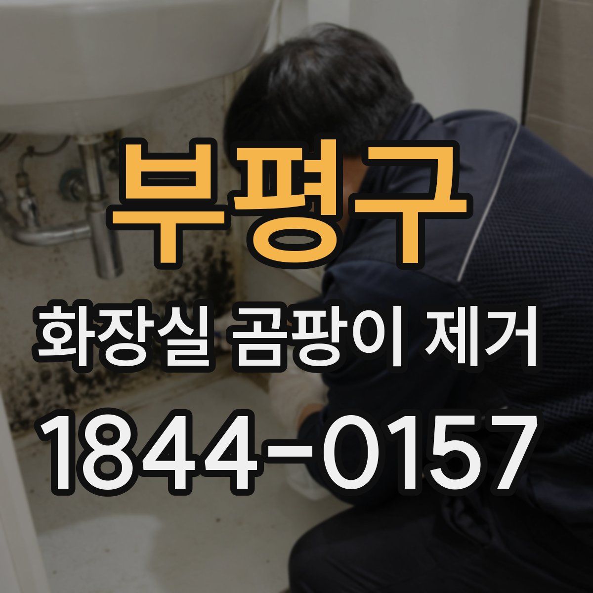 부평구 화장실 곰팡이 제거