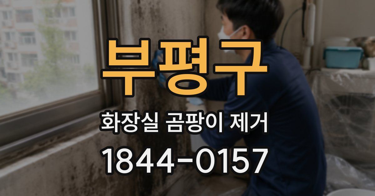 부평구 화장실 곰팡이 제거