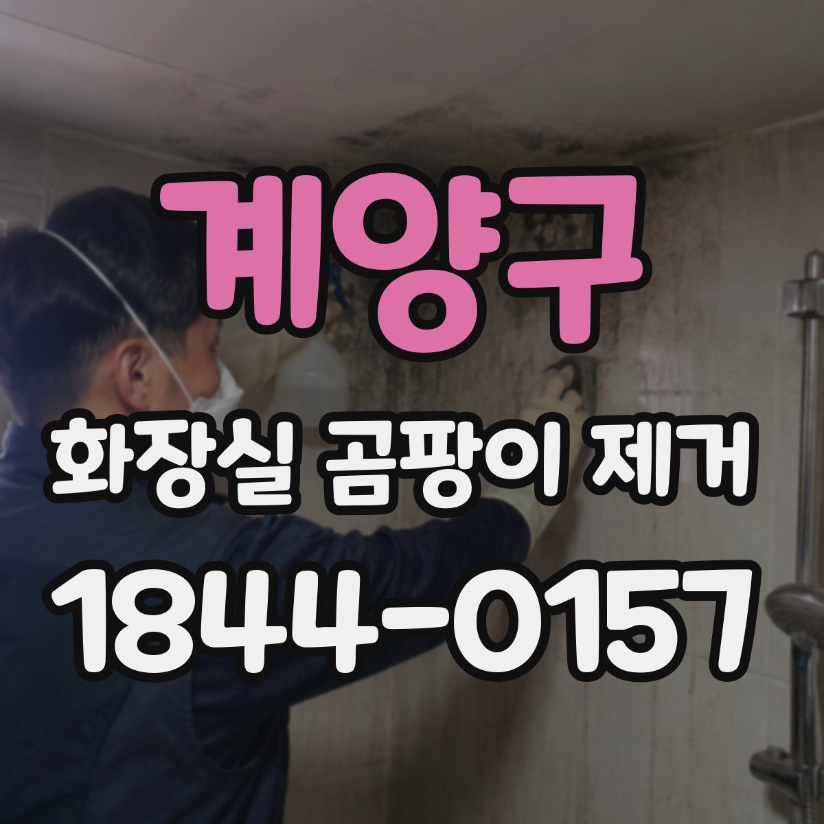 계양구 화장실 곰팡이 제거