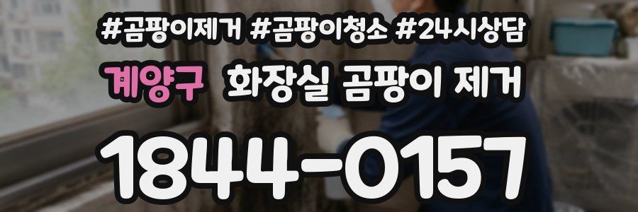 계양구 화장실 곰팡이 제거