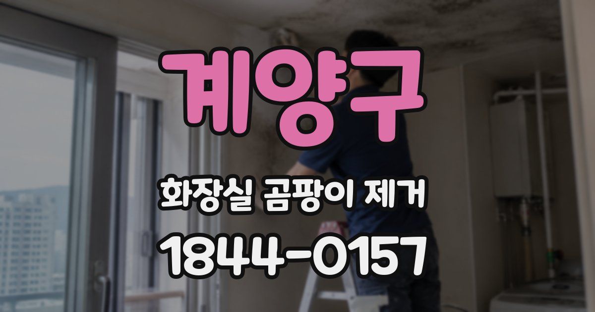 계양구 화장실 곰팡이 제거