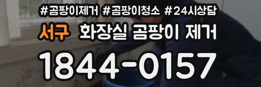 서구 화장실 곰팡이 제거