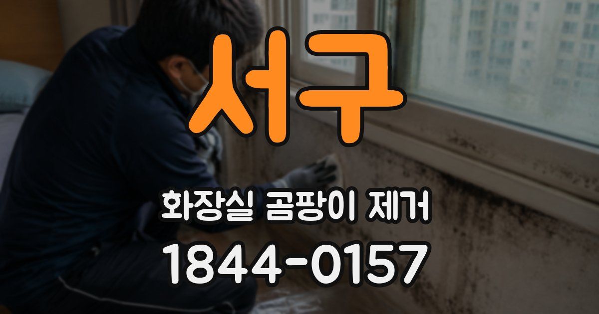 서구 화장실 곰팡이 제거