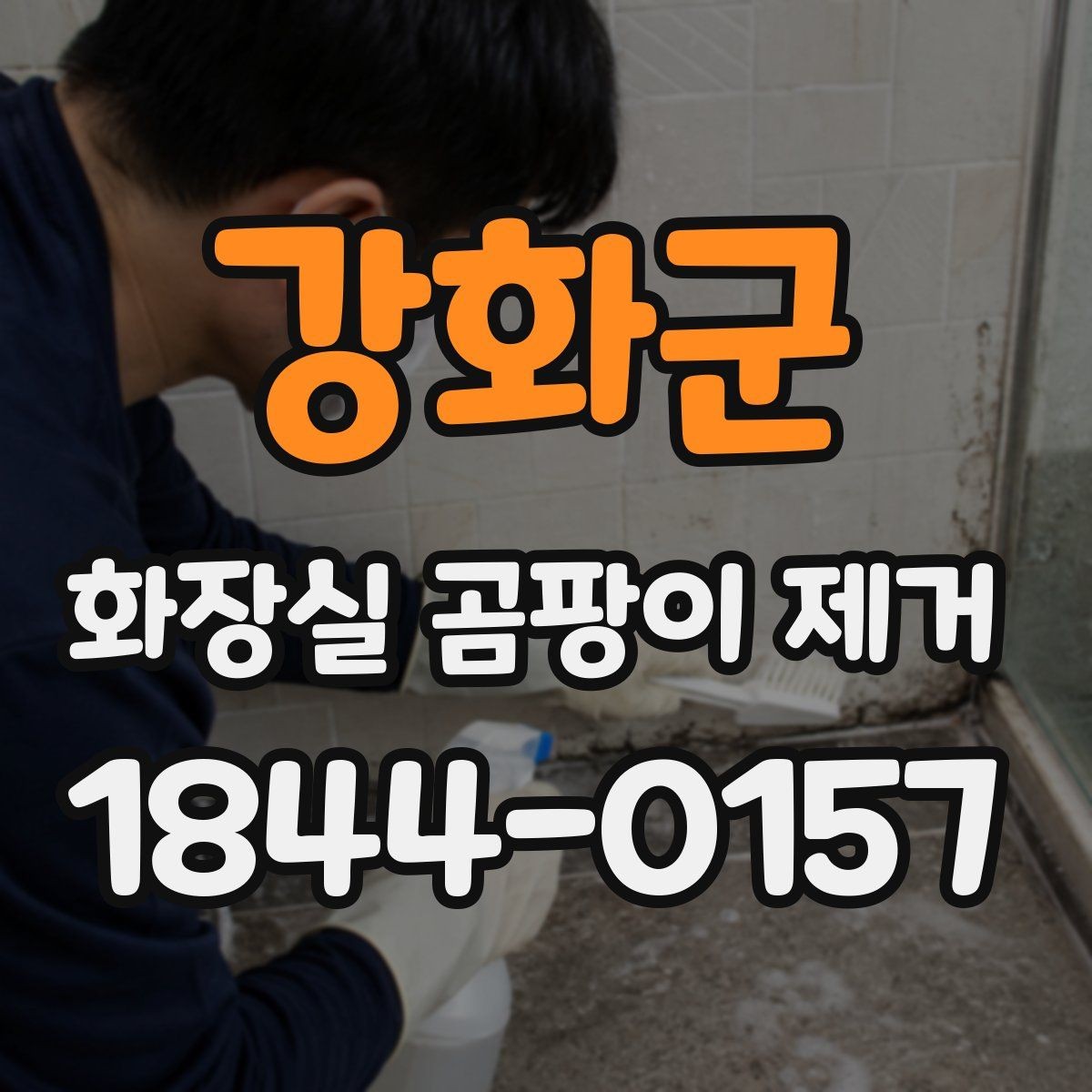 강화군 화장실 곰팡이 제거 변기 옆 검은곰팡이 원인부터 살피기