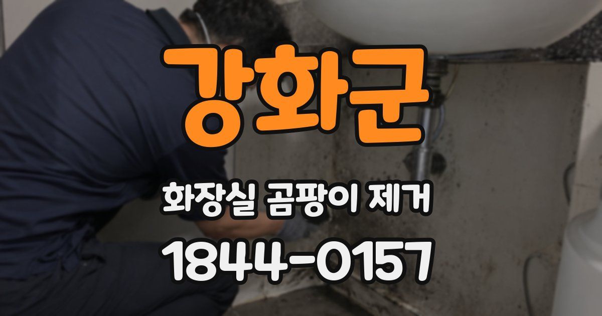 강화군 화장실 곰팡이 제거