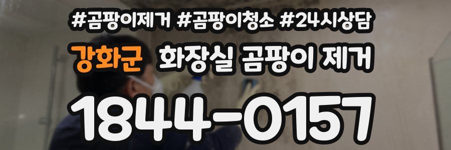 강화군 화장실 곰팡이 제거