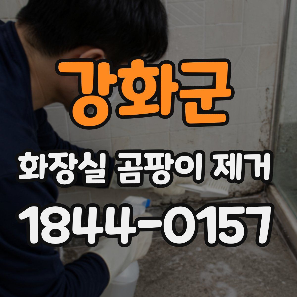 강화군 화장실 곰팡이 제거