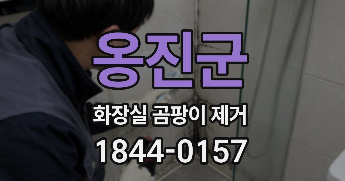 옹진군 화장실 곰팡이 제거