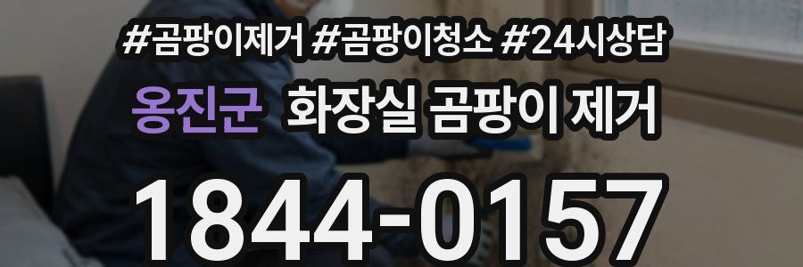 옹진군 화장실 곰팡이 제거