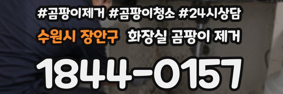 수원시 장안구 화장실 곰팡이 제거