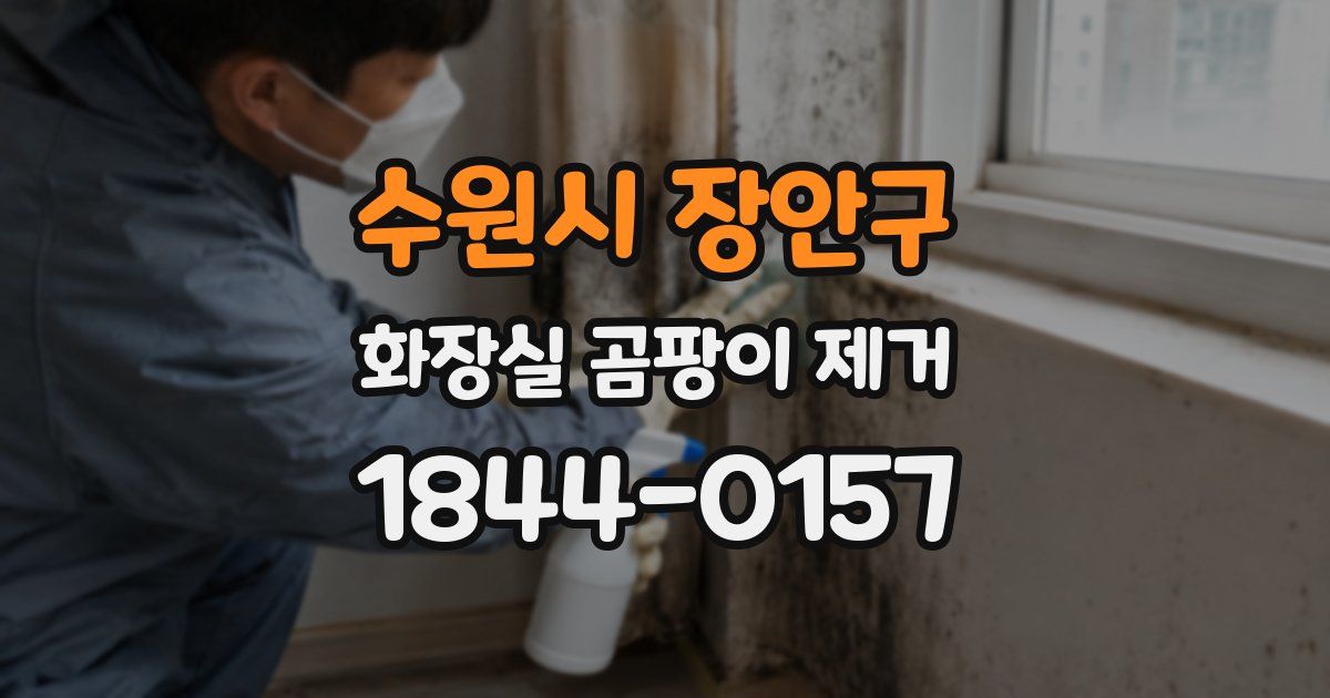 수원시 장안구 화장실 곰팡이 제거