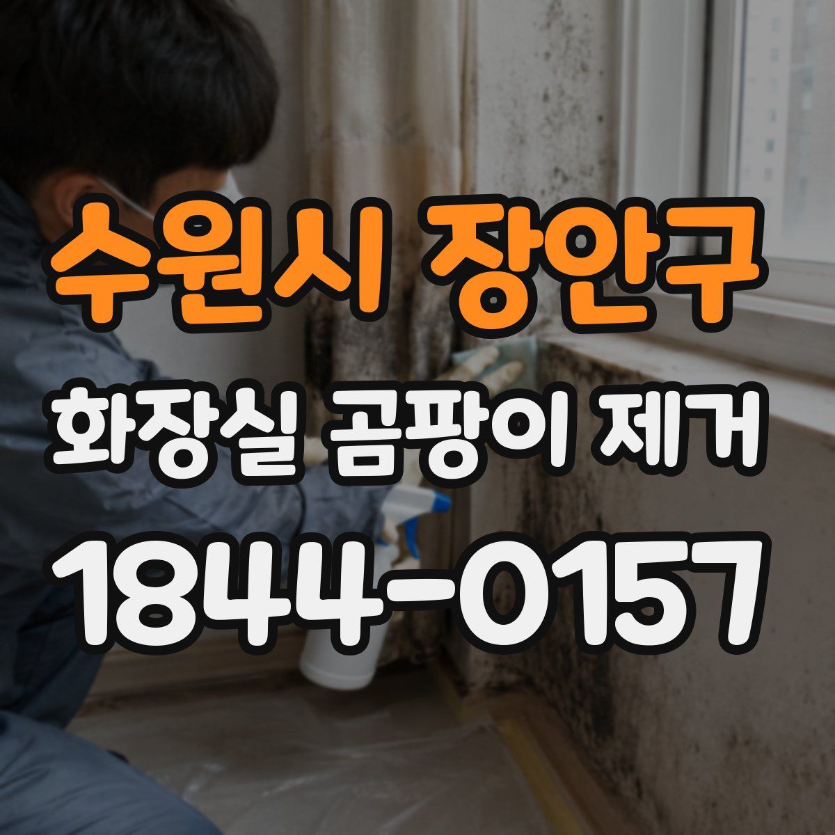수원시 장안구 화장실 곰팡이 제거