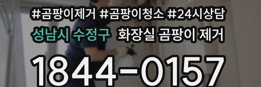 성남시 수정구 화장실 곰팡이 제거