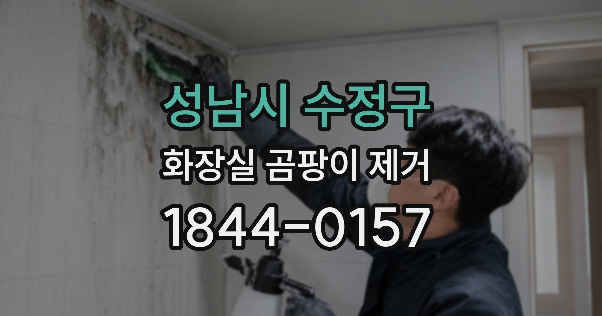 성남시 수정구 화장실 곰팡이 제거