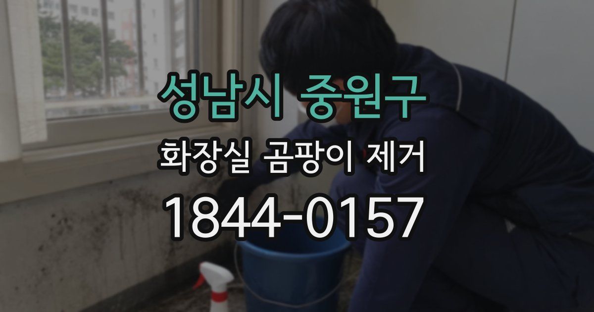 성남시 중원구 화장실 곰팡이 제거