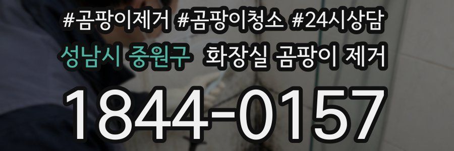 성남시 중원구 화장실 곰팡이 제거