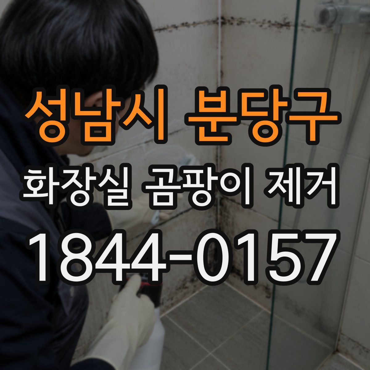 성남시 분당구 화장실 곰팡이 제거
