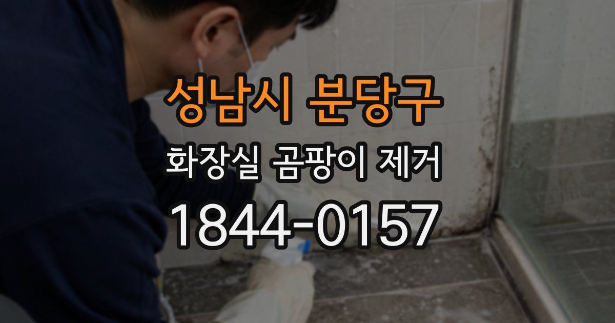 성남시 분당구 화장실 곰팡이 제거