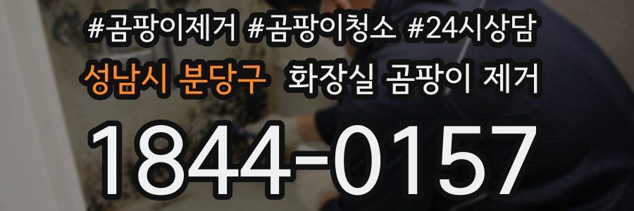 성남시 분당구 화장실 곰팡이 제거