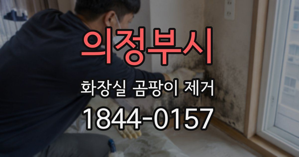 의정부시 화장실 곰팡이 제거