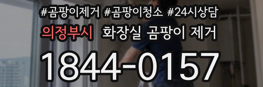 의정부시 화장실 곰팡이 제거