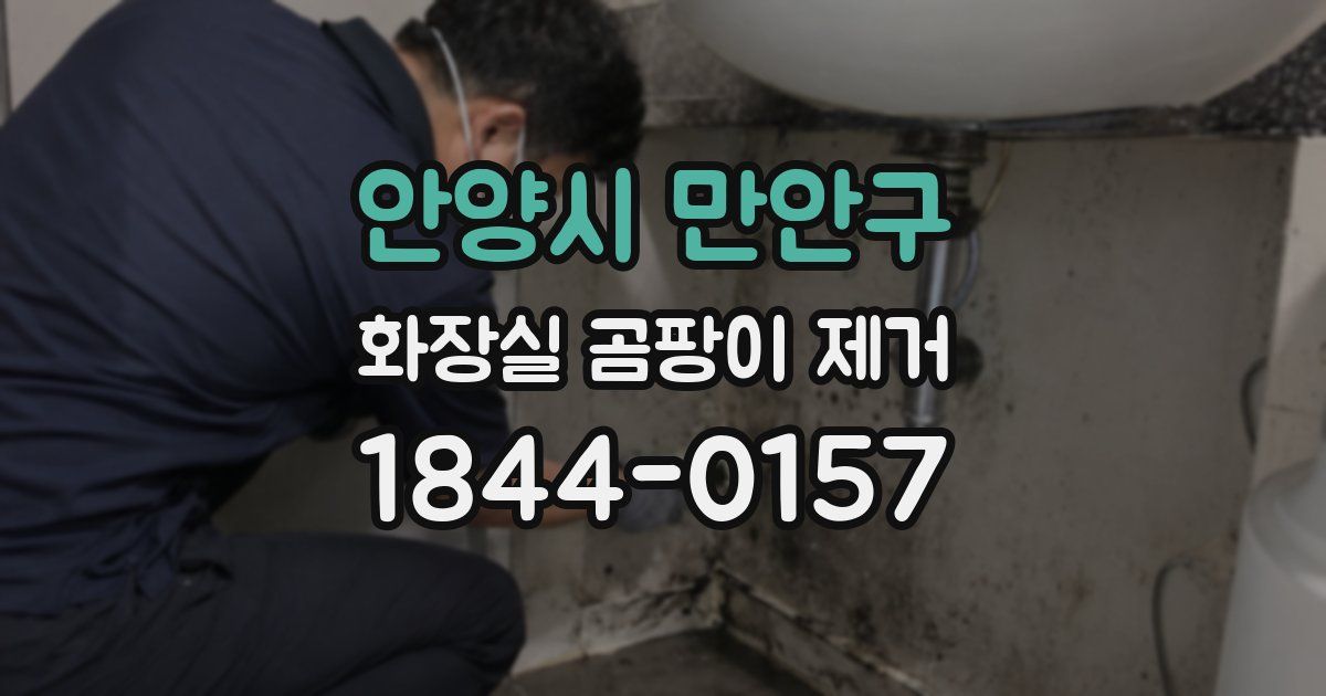 안양시 만안구 화장실 곰팡이 제거