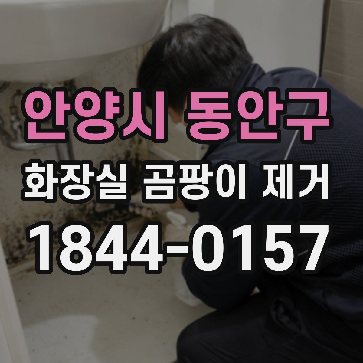 안양시 동안구 화장실 곰팡이 제거