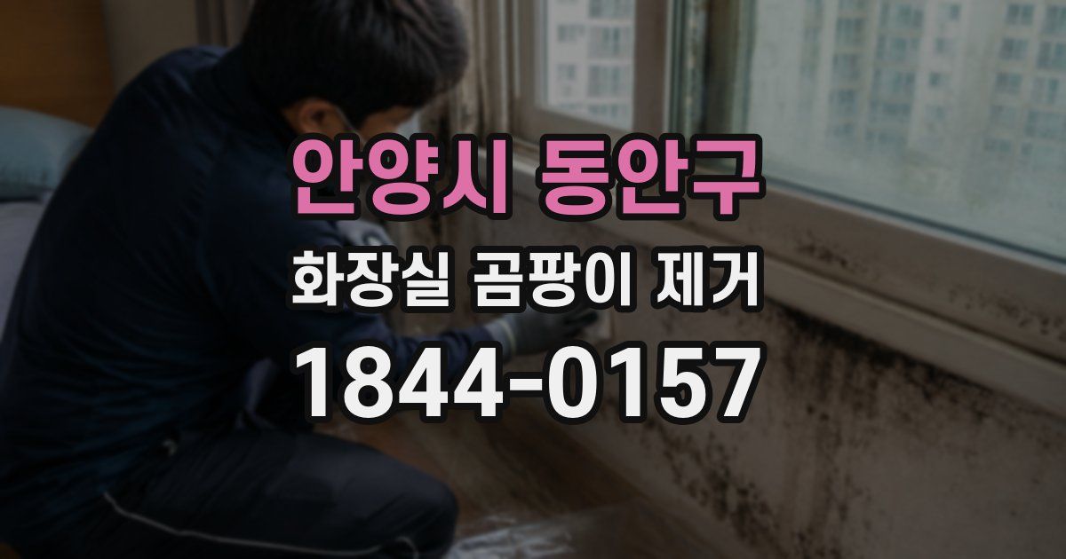 안양시 동안구 화장실 곰팡이 제거
