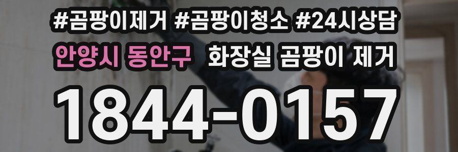 안양시 동안구 화장실 곰팡이 제거