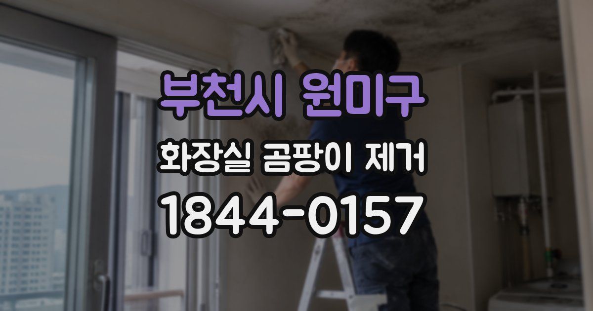 부천시 원미구 화장실 곰팡이 제거