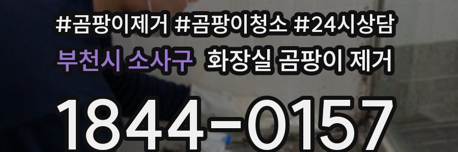 부천시 소사구 화장실 곰팡이 제거