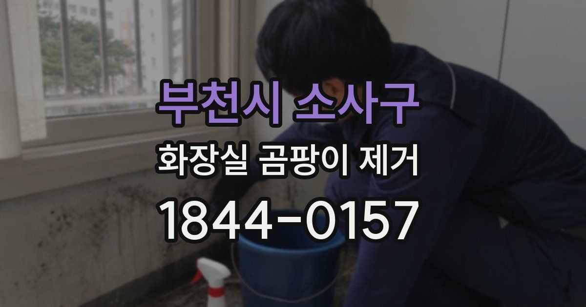 부천시 소사구 화장실 곰팡이 제거