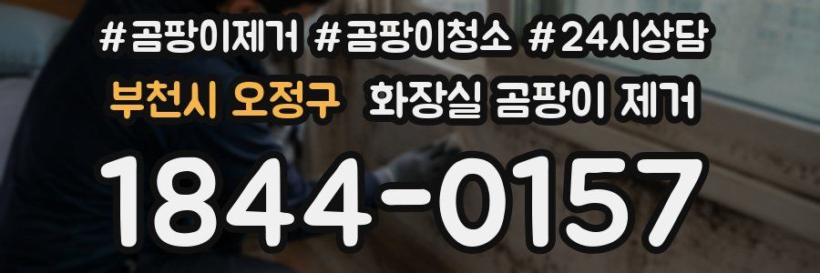 부천시 오정구 화장실 곰팡이 제거