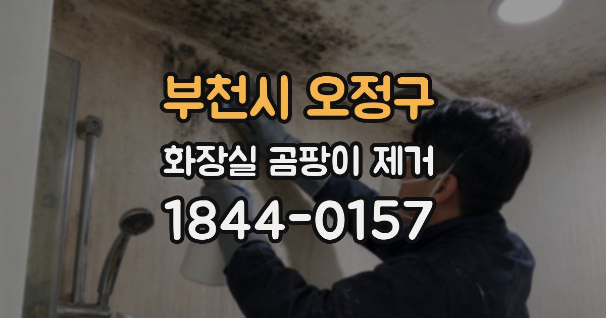 부천시 오정구 화장실 곰팡이 제거