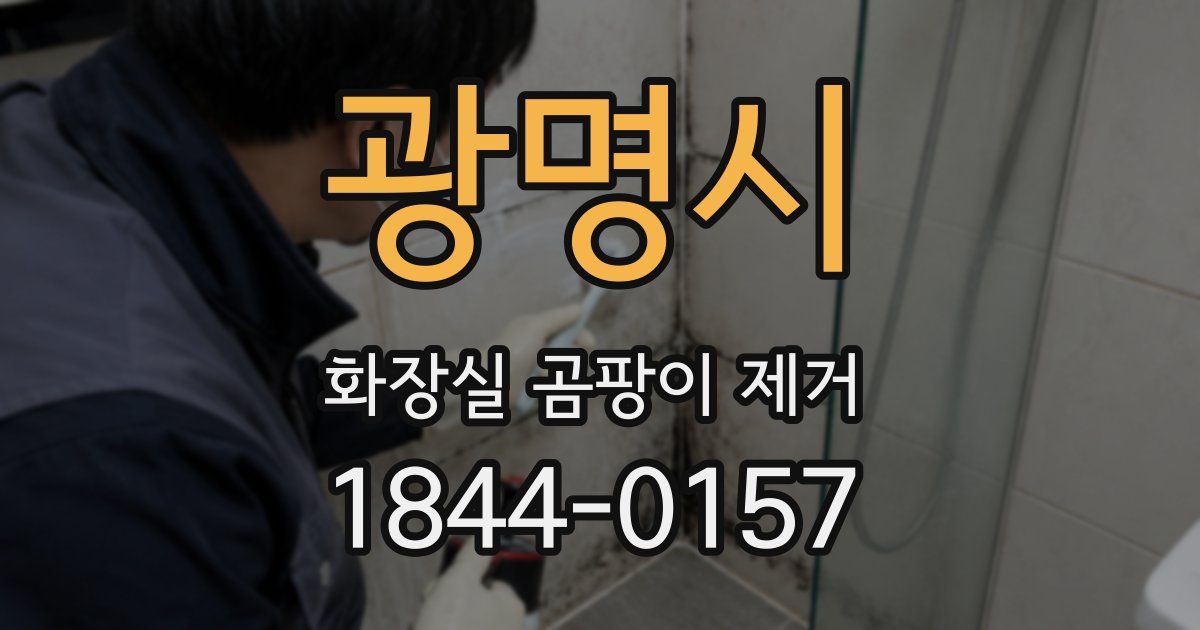 광명시 화장실 곰팡이 제거