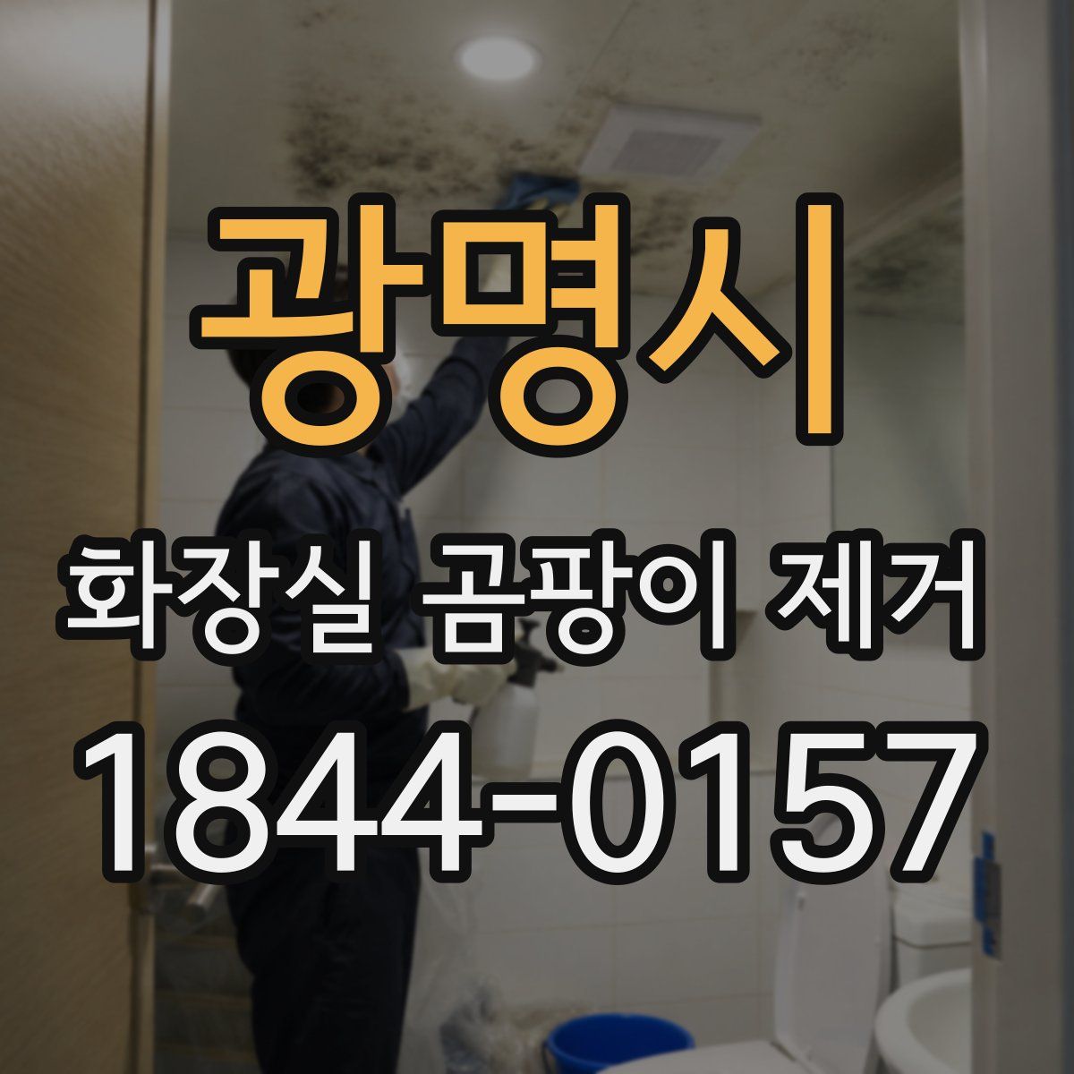 광명시 화장실 곰팡이 제거