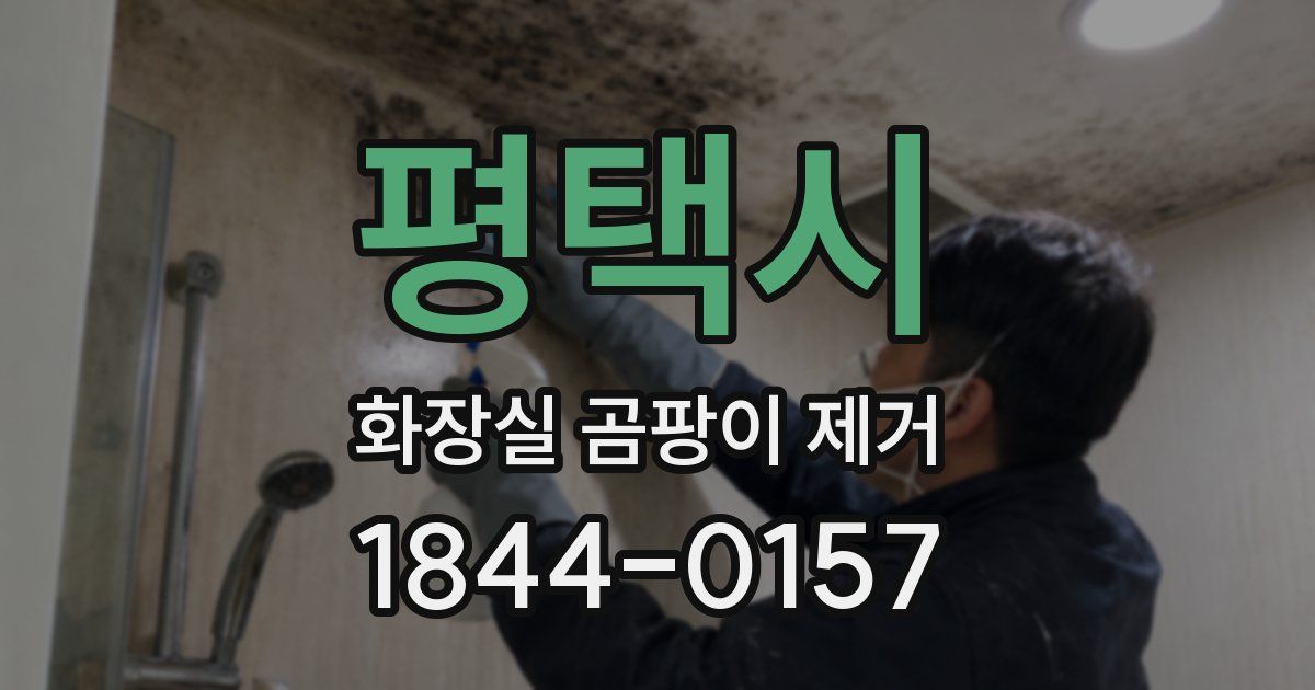 평택시 화장실 곰팡이 제거