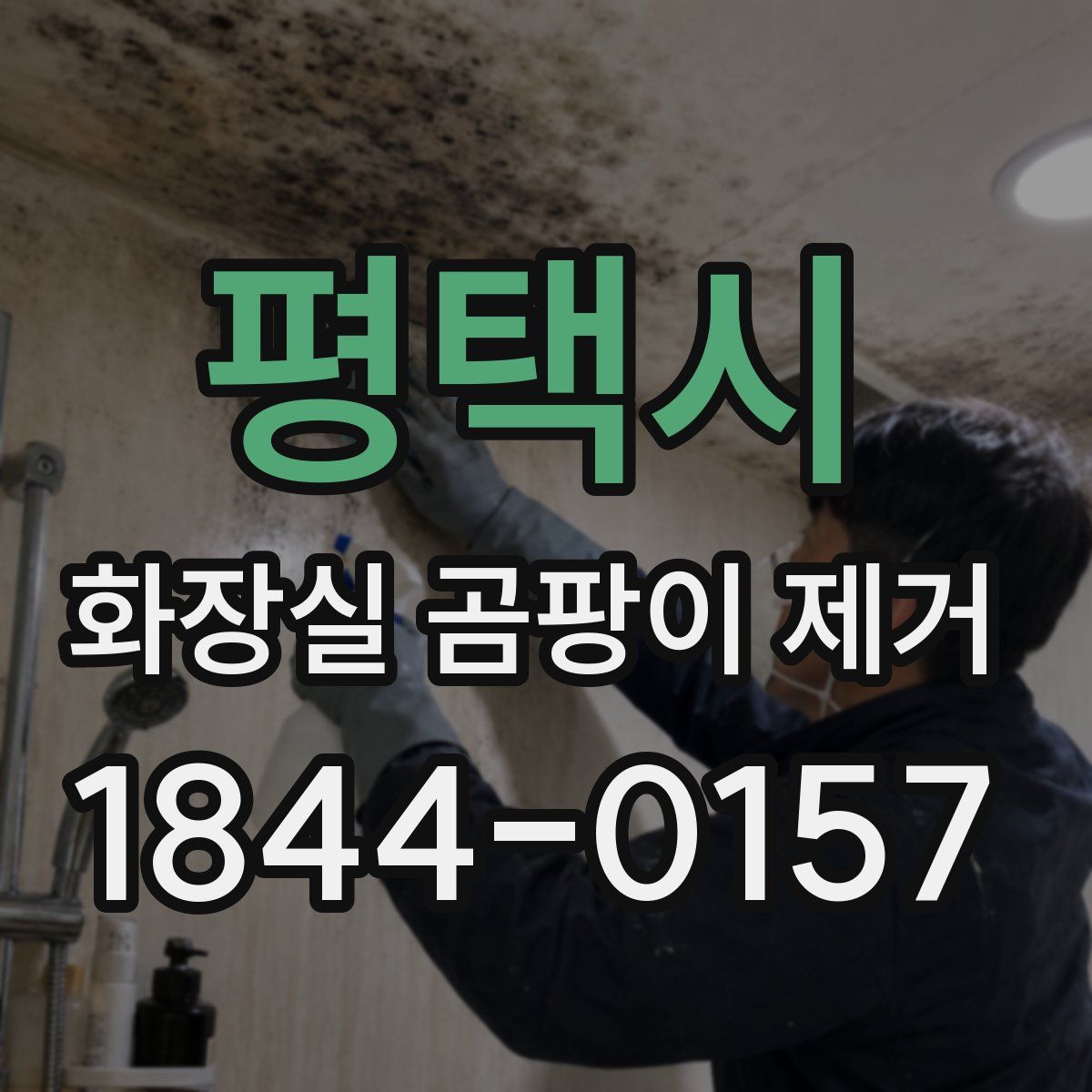 평택시 화장실 곰팡이 제거