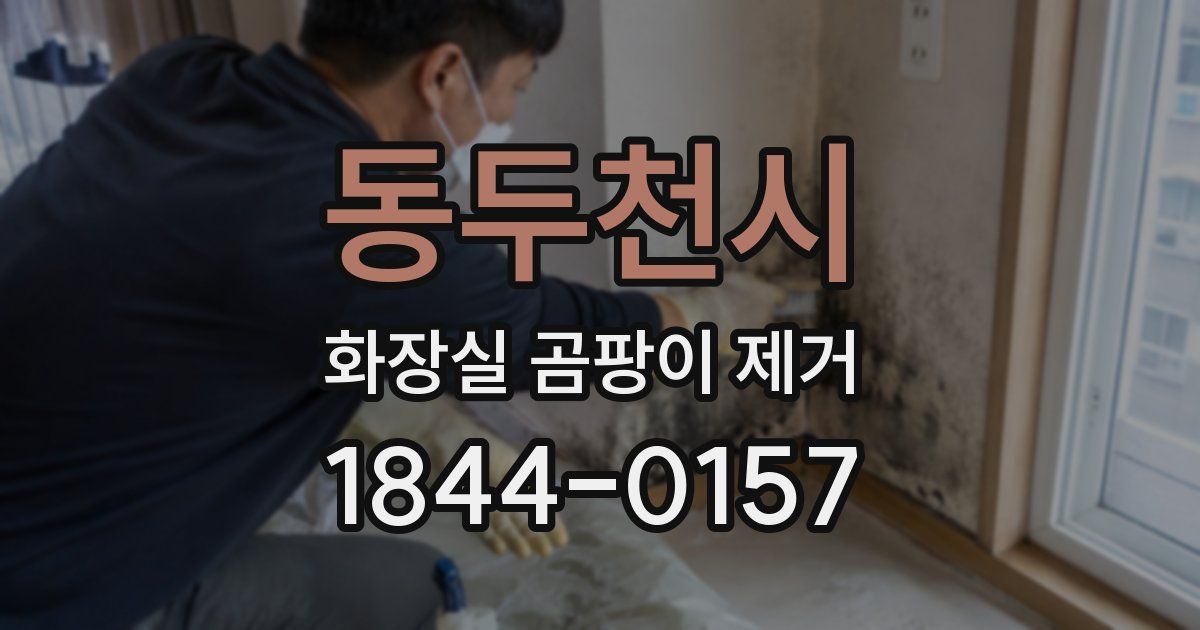 동두천시 화장실 곰팡이 제거