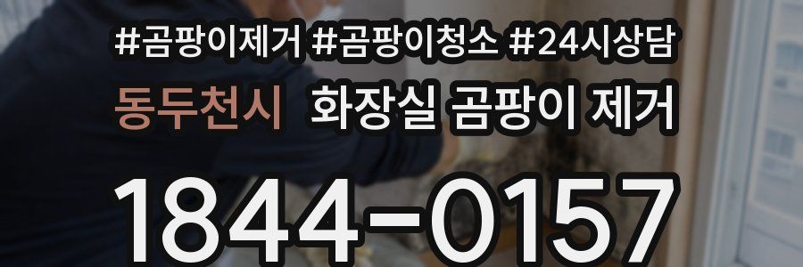 동두천시 화장실 곰팡이 제거