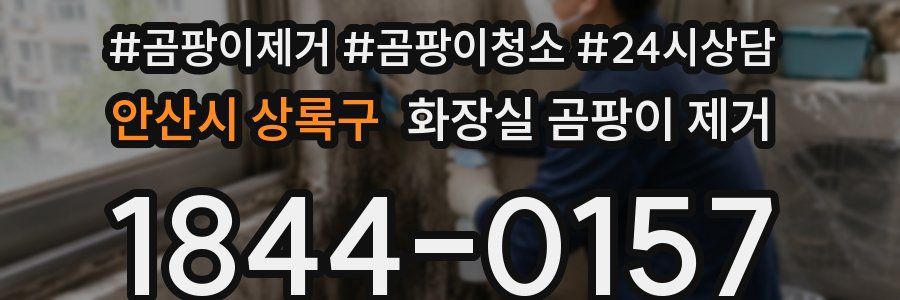 안산시 상록구 화장실 곰팡이 제거