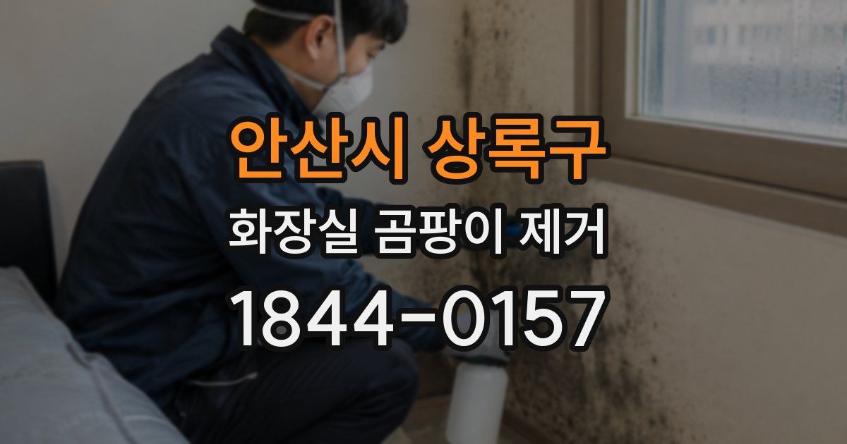 안산시 상록구 화장실 곰팡이 제거