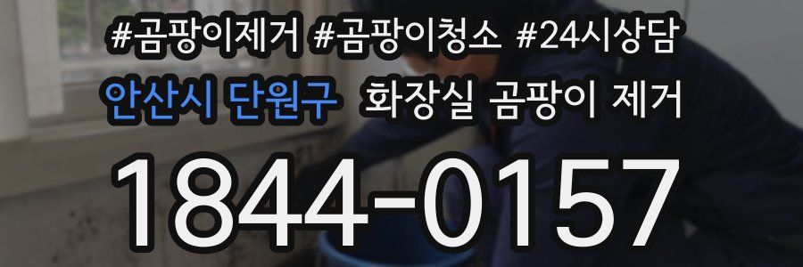 안산시 단원구 화장실 곰팡이 제거