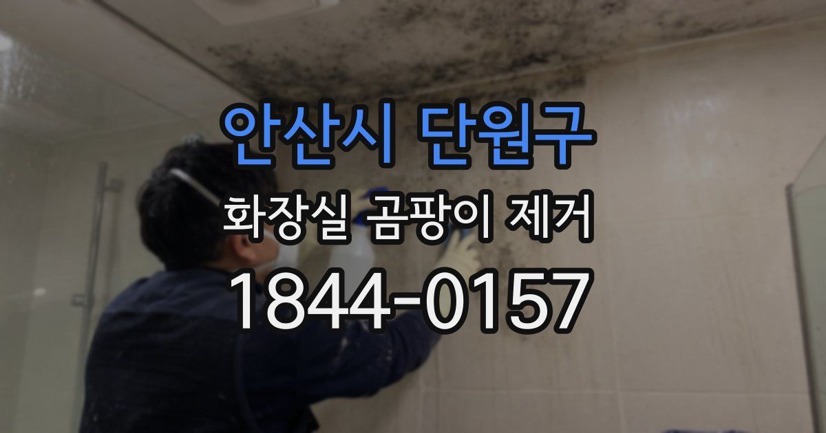 안산시 단원구 화장실 곰팡이 제거