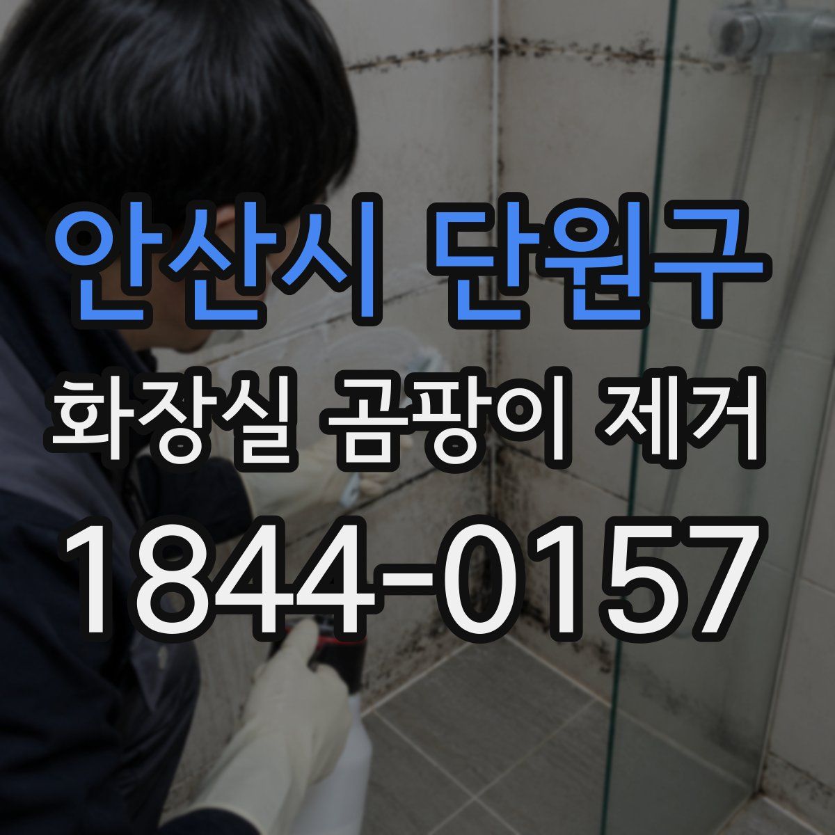 안산시 단원구 화장실 곰팡이 제거
