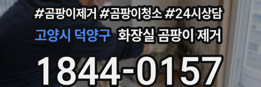 고양시 덕양구 화장실 곰팡이 제거